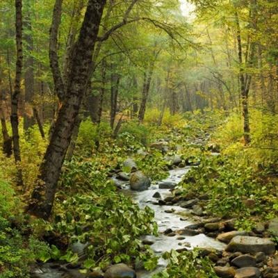 pg娱乐电子游戏官网官方入口截图